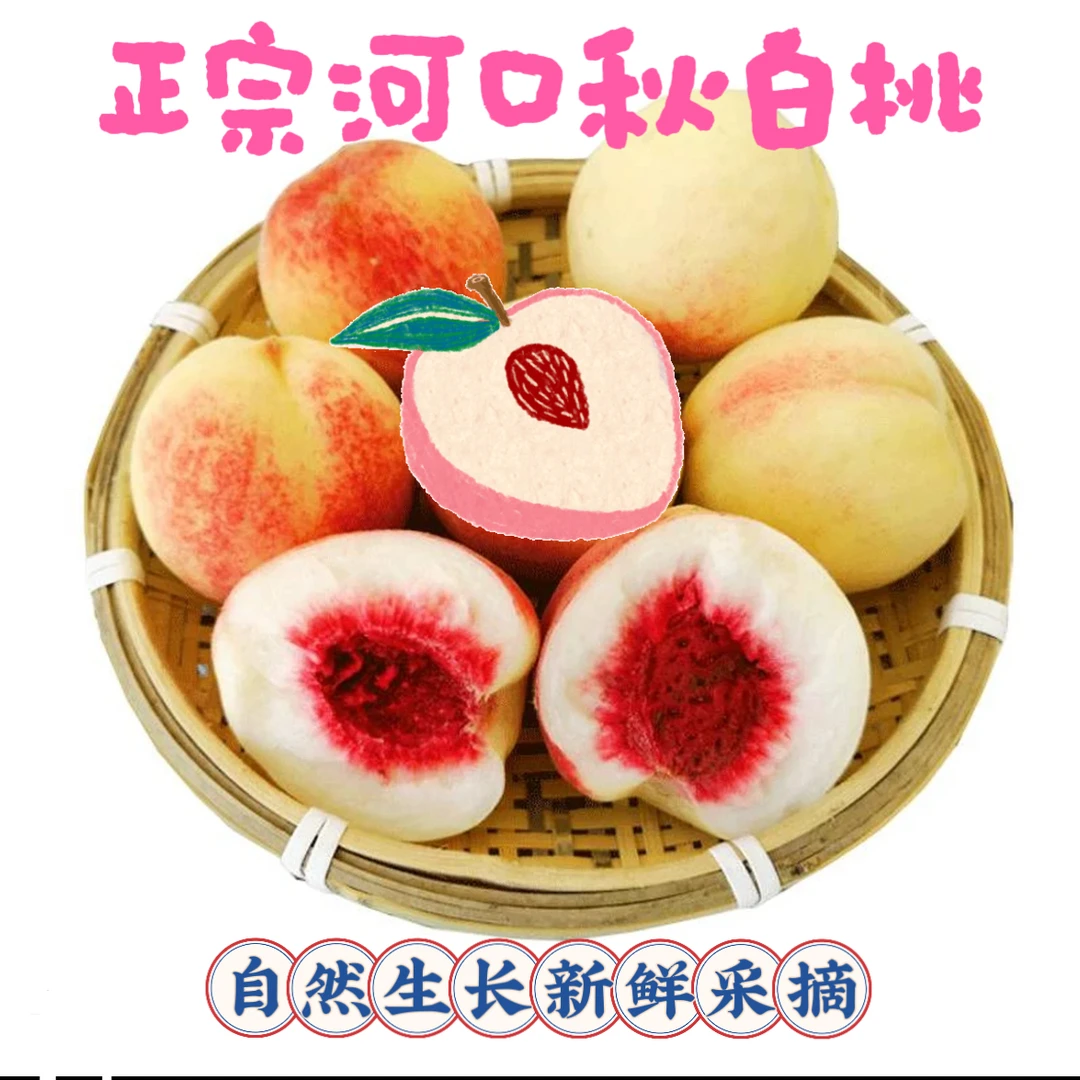 【中通包邮】【树尖果】【净果4.5斤】正宗丹东秋白桃新鲜多汁产地直发