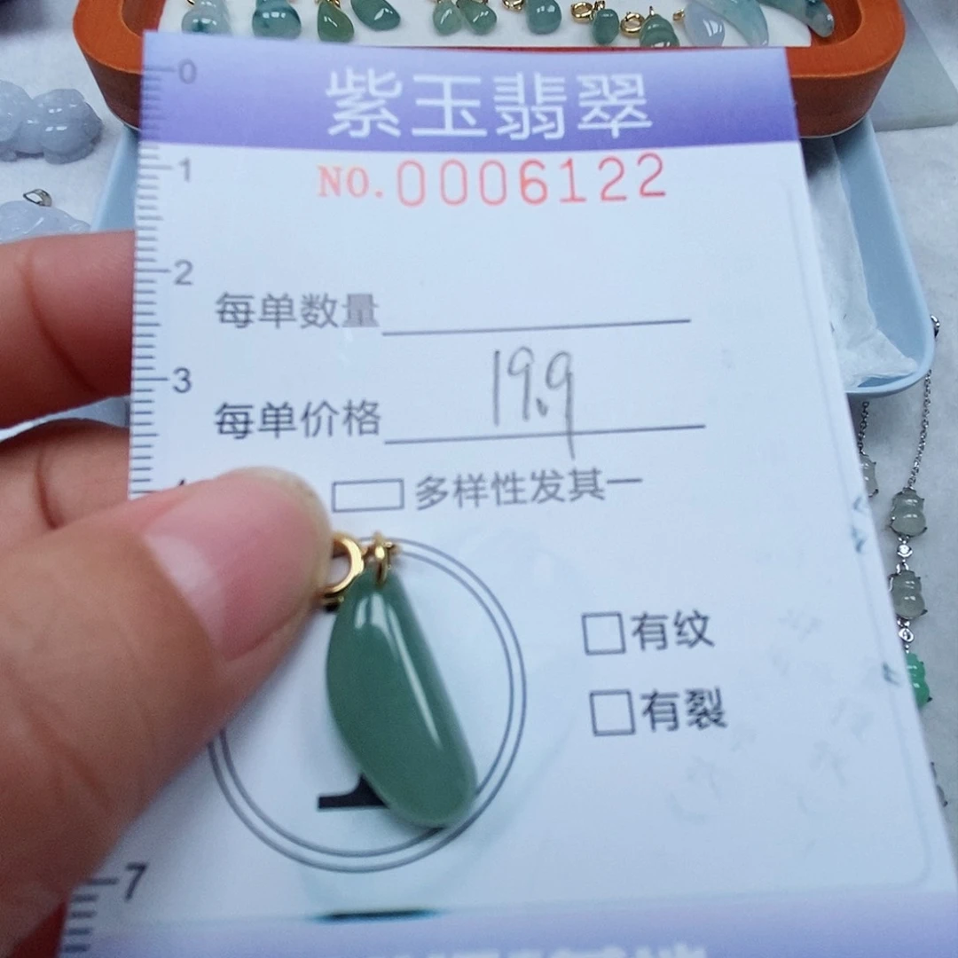 颈饰未镶嵌翡翠冰透随行