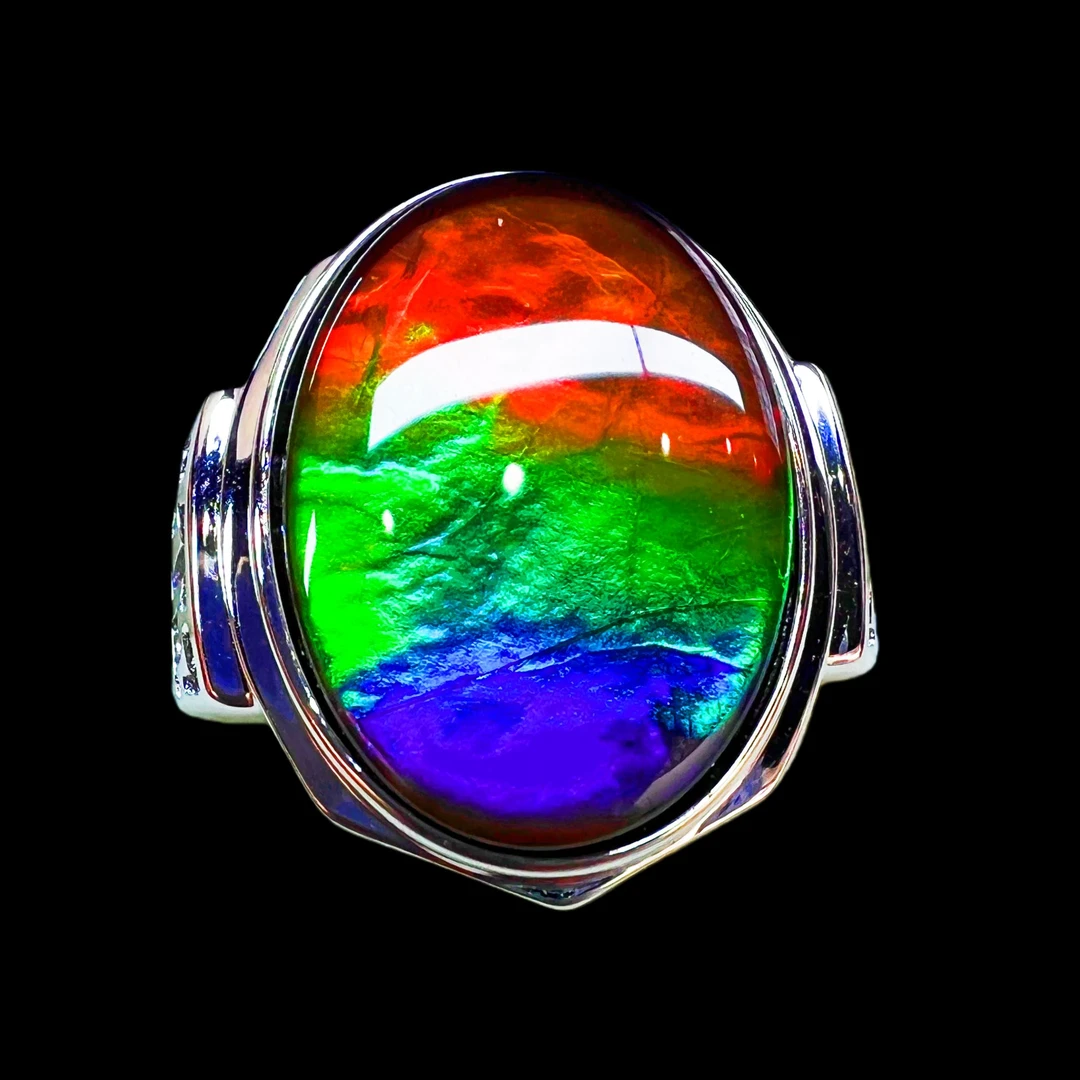 【斑彩】19.8mm 加拿大 N-33 JZ-W 贝壳创意饰品 N30