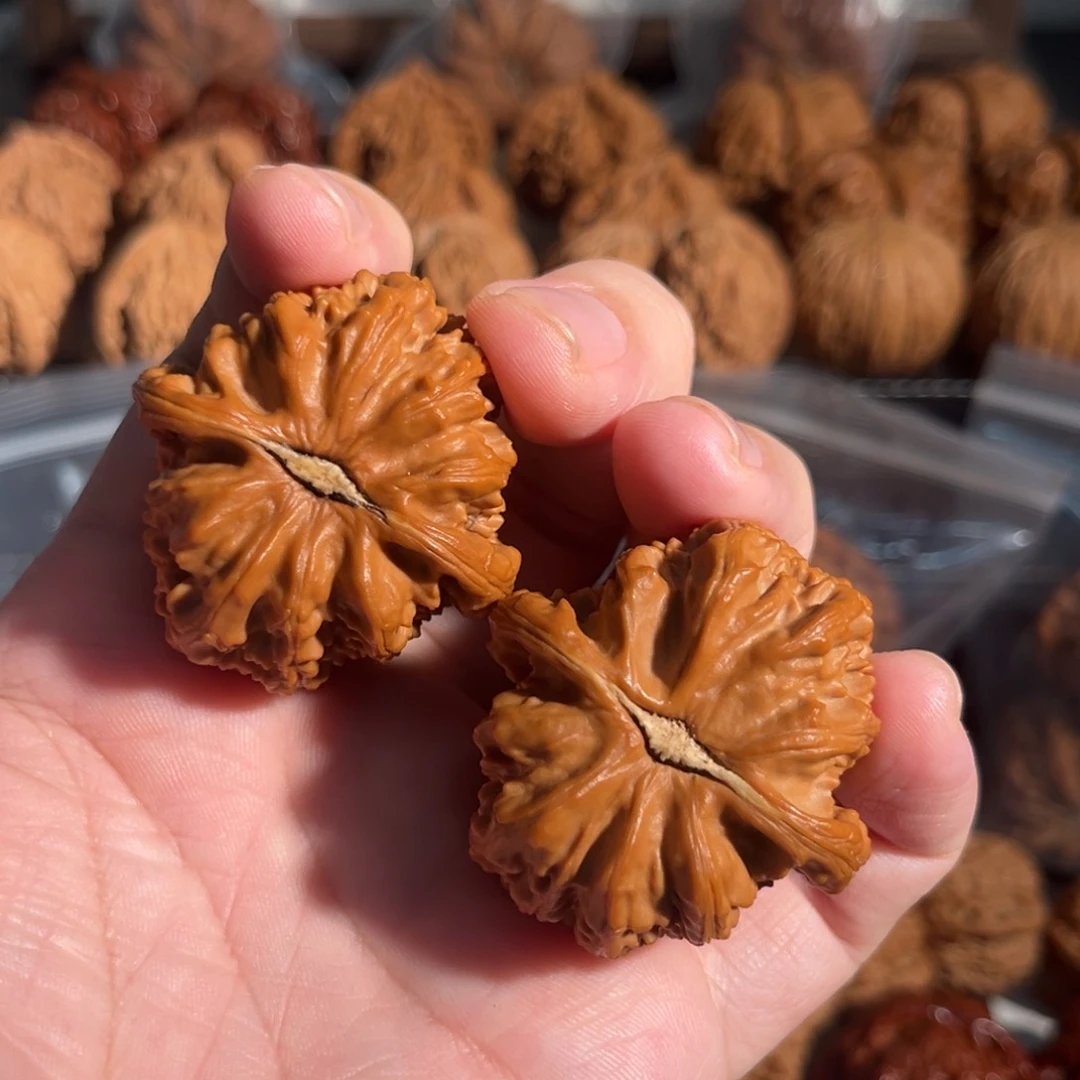 核桃手串/手链人****全40三角白狮子