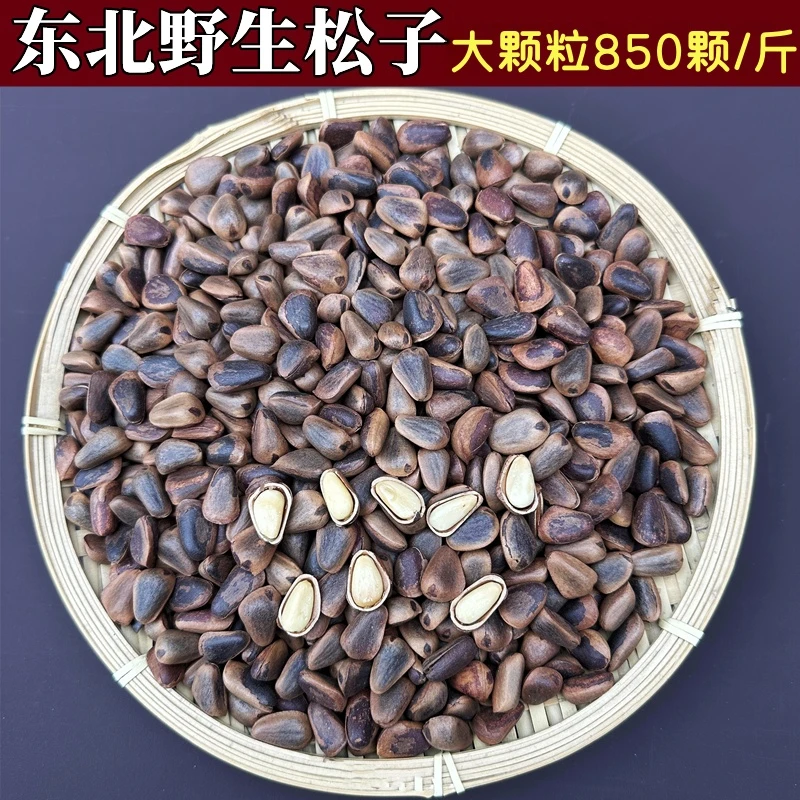 【炸鸡姐姐】东北野生松子特大原味开口松子大粒手剥零食坚果500g