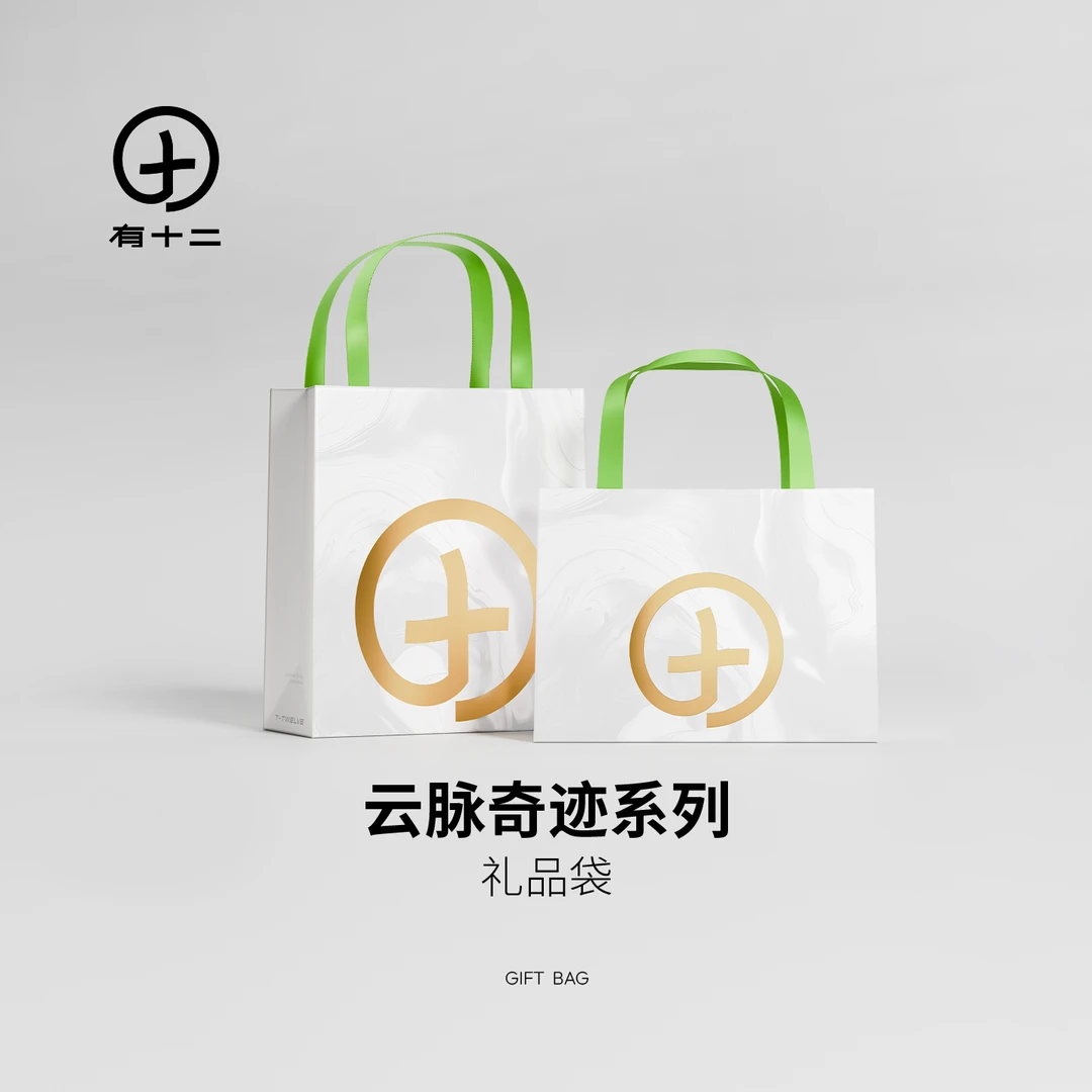 有十二 礼品袋生日节日送礼男女朋友精致高颜值手提袋