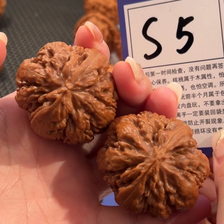 文玩核桃把件S5号霸王龙41尺霸王龙