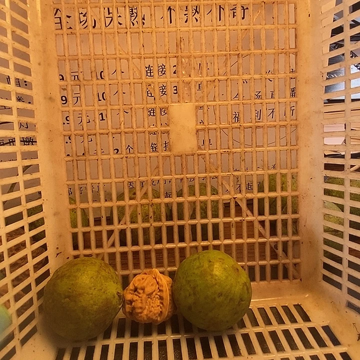 吊坠文玩核桃蛤蟆头6