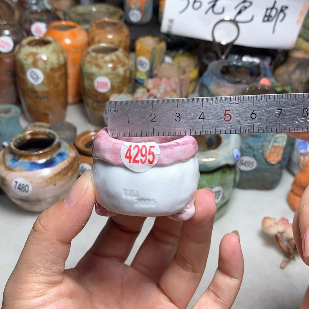 拍3送一个小礼物