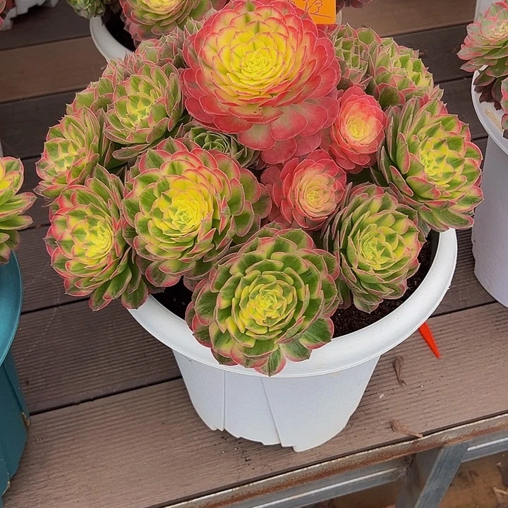 海鲜111111111111111