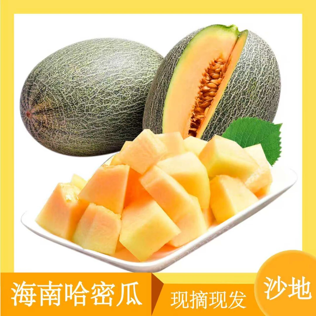 海南晓蜜25号哈密瓜海南基地直发脆甜