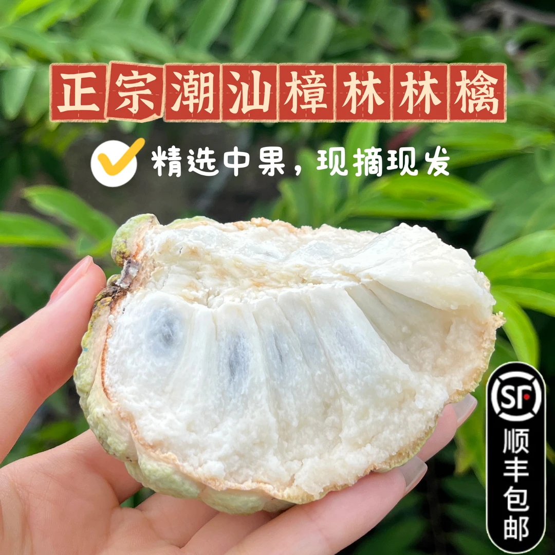 正宗潮汕樟林林檎 精选中果 番荔枝 大目释迦果 顺丰包邮