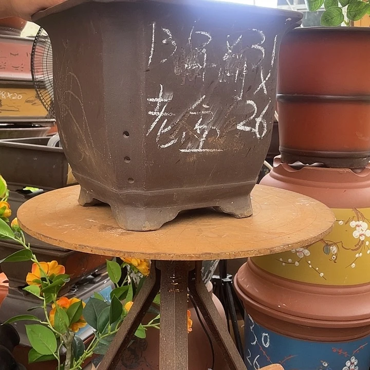 31紫色切角四方花盆紫砂