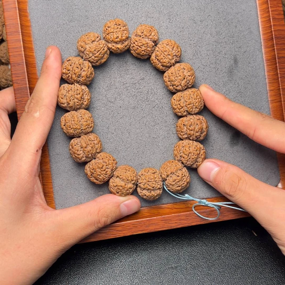 菩提25号尼泊尔大金刚21.5梅花梁