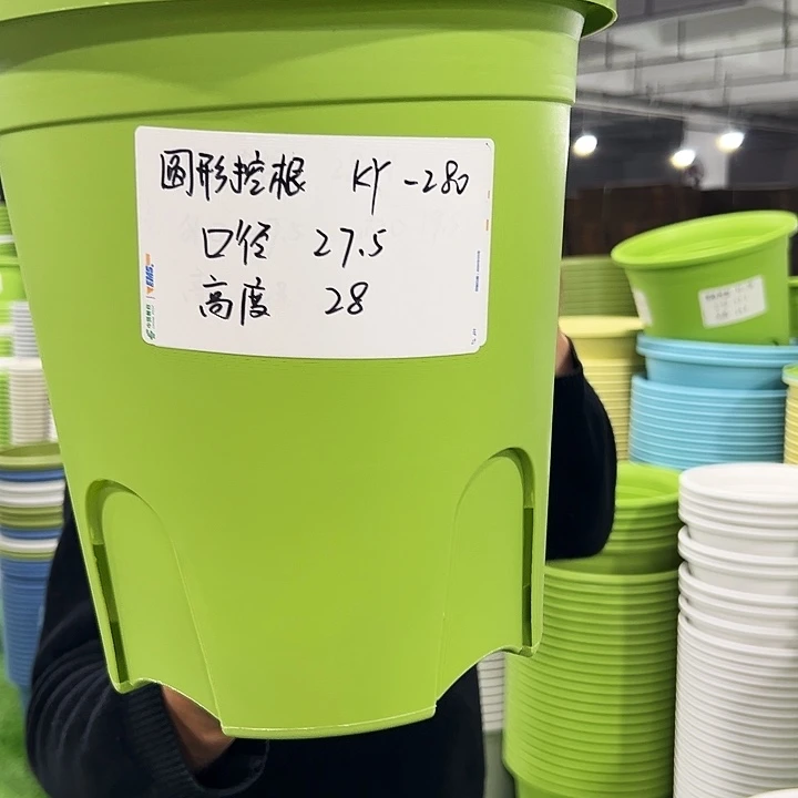 正品圆控口27高28果绿色5个无托