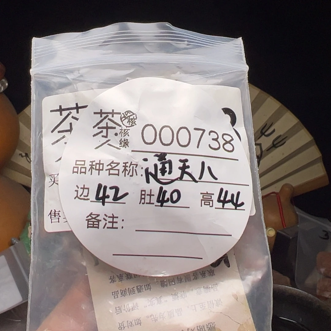 吊坠文玩核桃今天