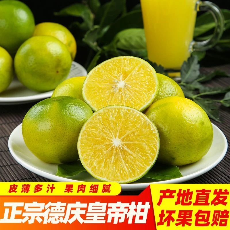 正宗广东德庆皇帝柑新鲜采摘原产地果园直发清甜爆汁水果批发桔子