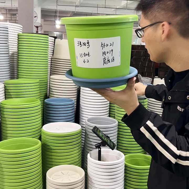 特价3号四季口22高18绿色带托10只