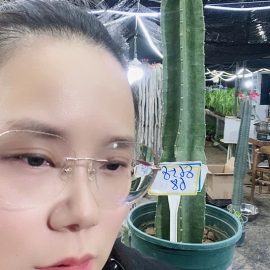 强****？8658脱土发货无售后