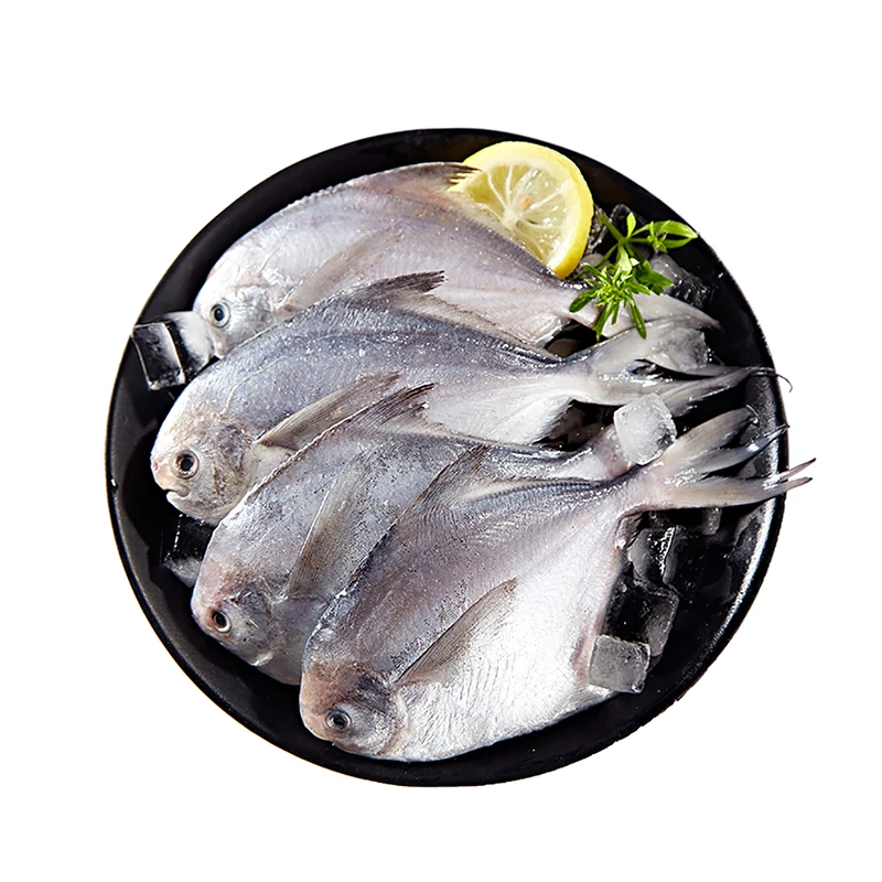 【纯色本味】国产舟山原条白鲳鱼400g×5袋