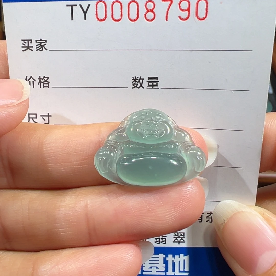 翡翠未镶嵌颈饰8790