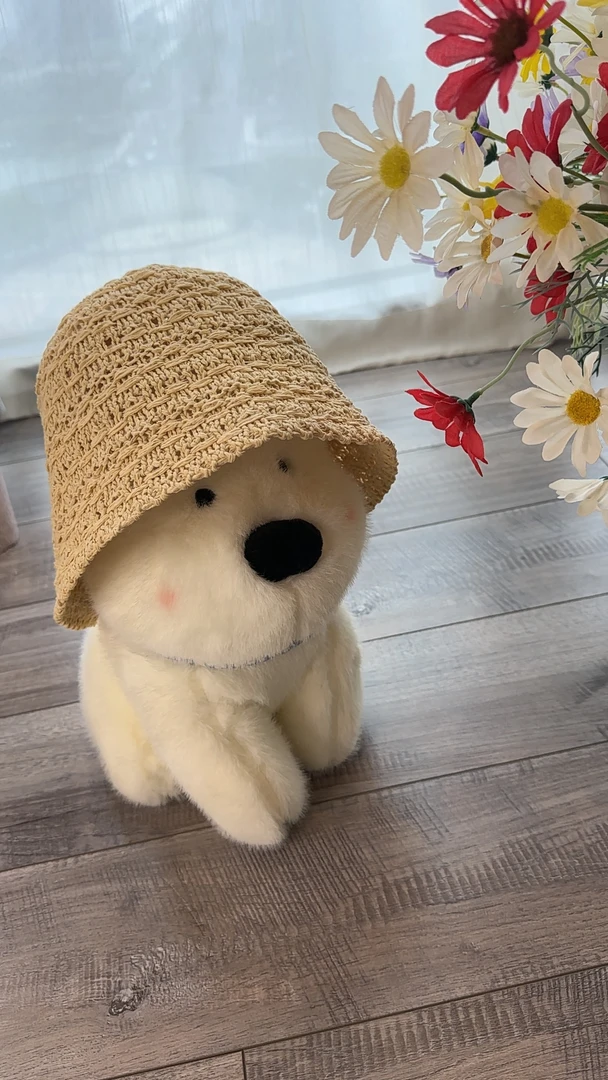 太阳帽帽子编织遮阳帽渔夫帽草帽盆帽百搭夏季