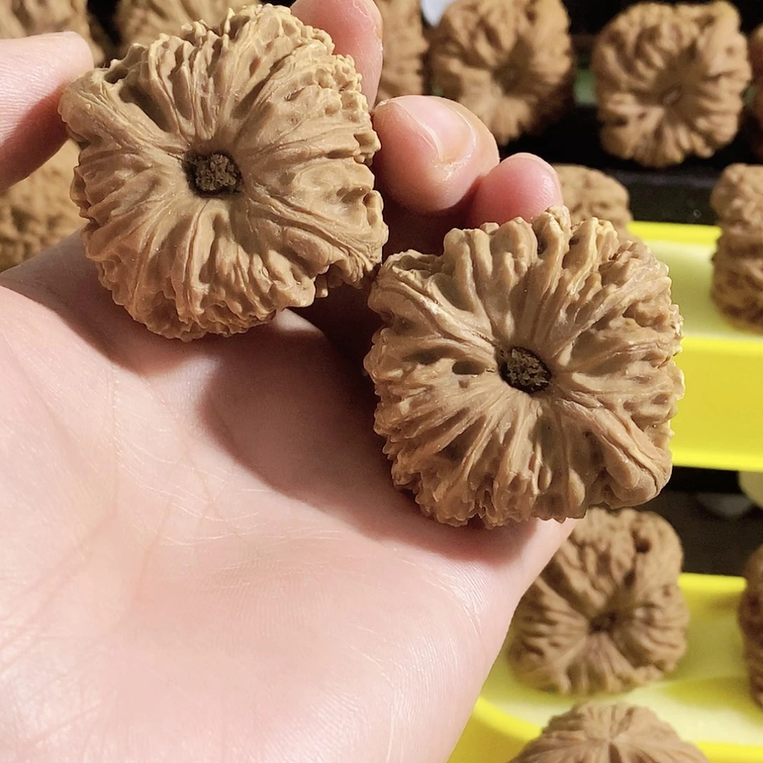 傲***少木质类今天是不是又