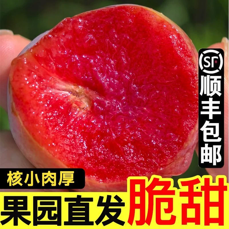 嵊州金庭正宗红心桃形李新鲜当季水果现摘现发孕妇水果顺丰包邮