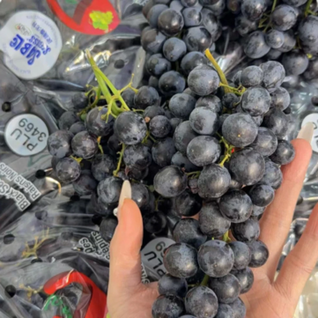 玫瑰香葡萄超好吃玫瑰香/19.9玫瑰香