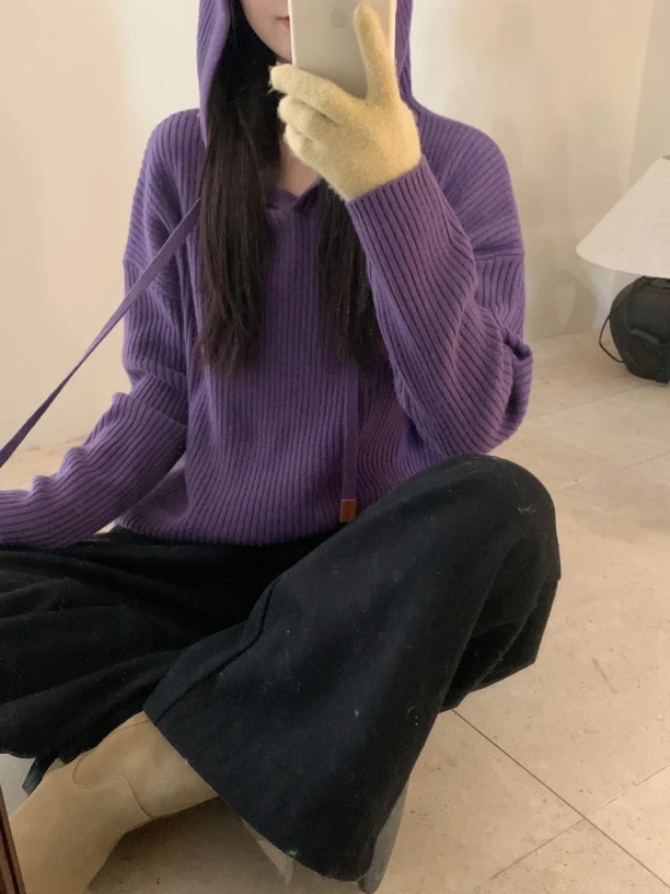 连帽加厚保暖8620毛衣宽松韩系百搭针织衫上衣欧洲站202冬季新款