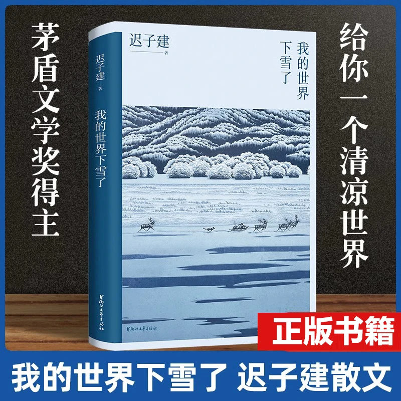 我的世界下雪了 中国现当代文学随笔传记书 迟子建散文课外阅读书