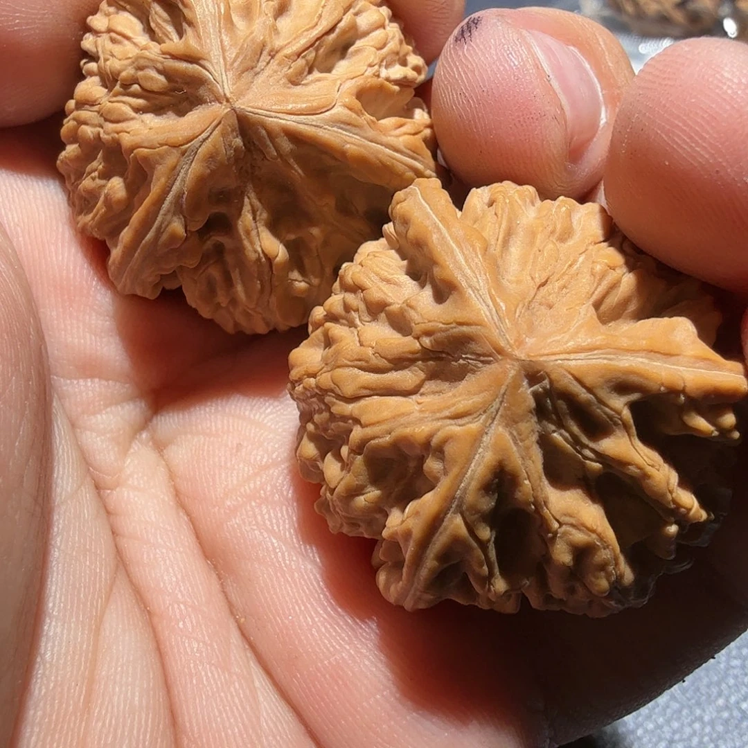 文玩核桃吊坠御龙正奔