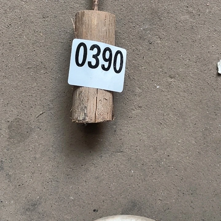 香榧木～****～木头的小脑袋390