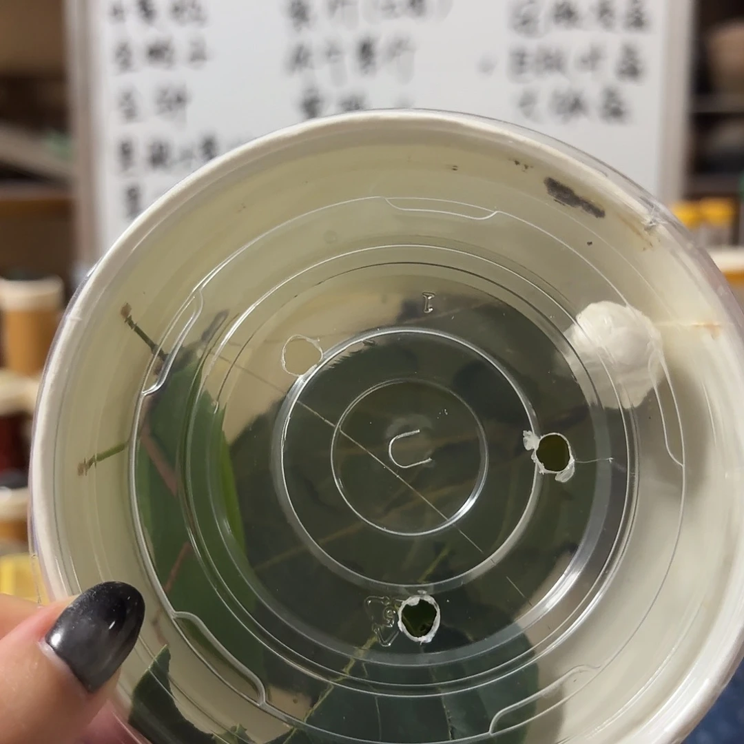 素背野生不包断须尾