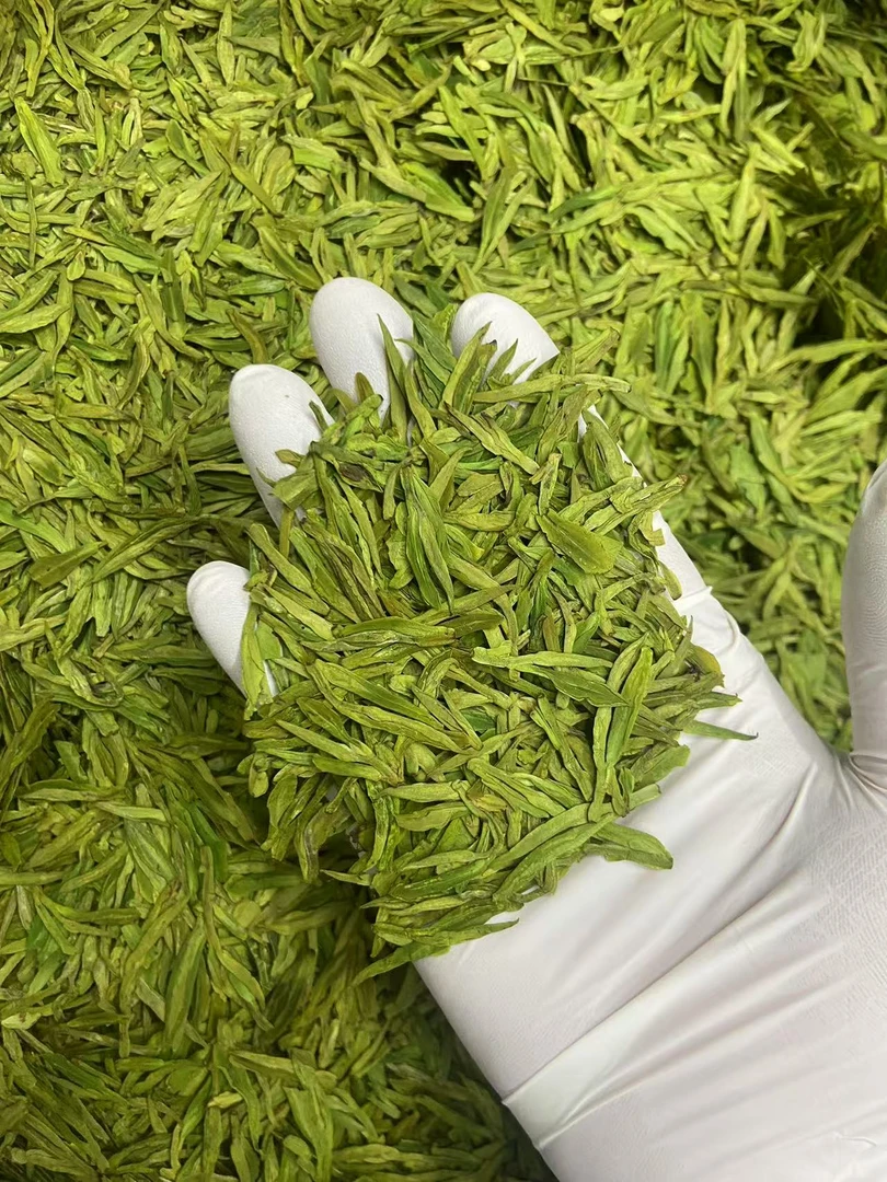 明前头春小白龙A款 2025年新茶高山白化绿茶绿版清香鲜爽峁峰龙井