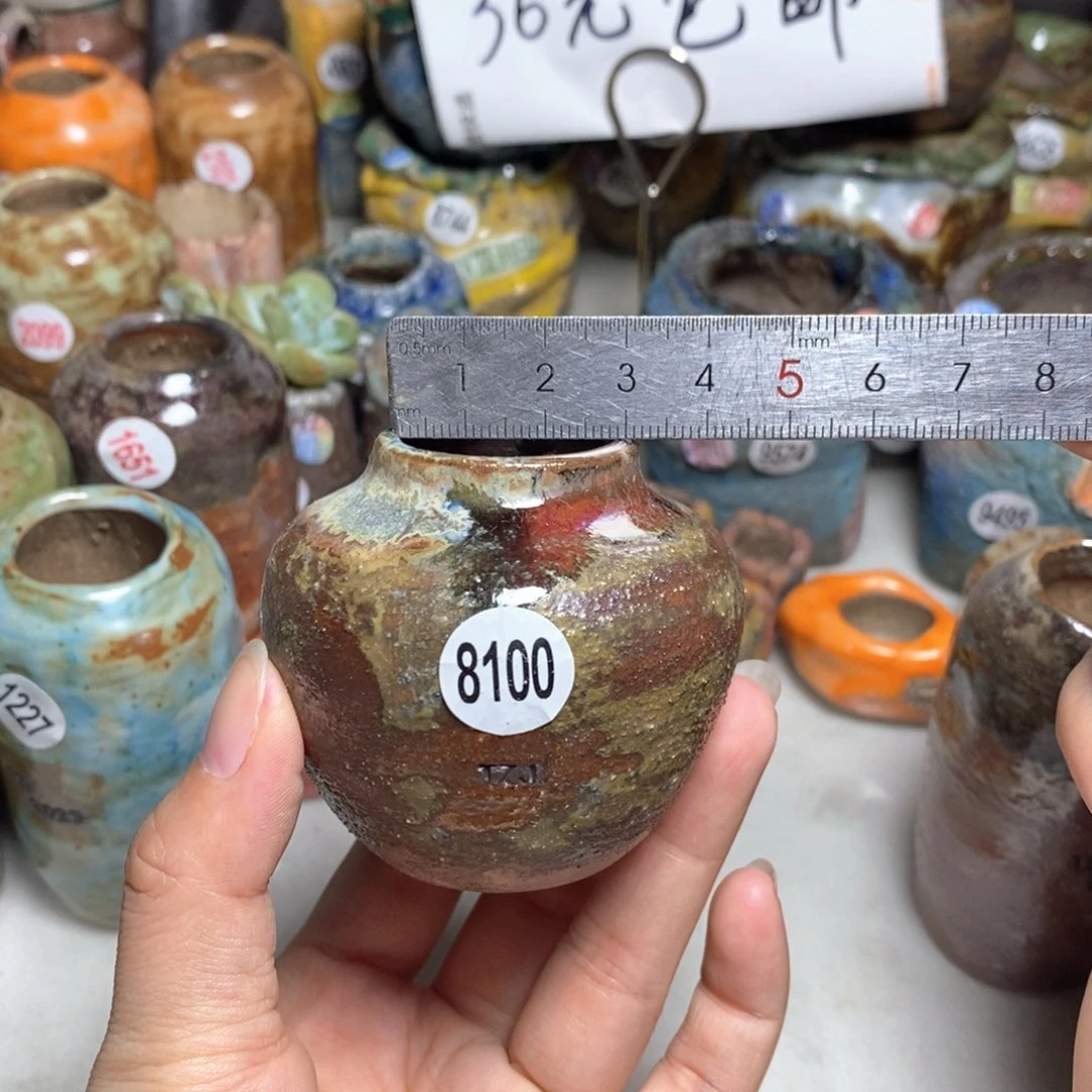 拍5送一个小礼物