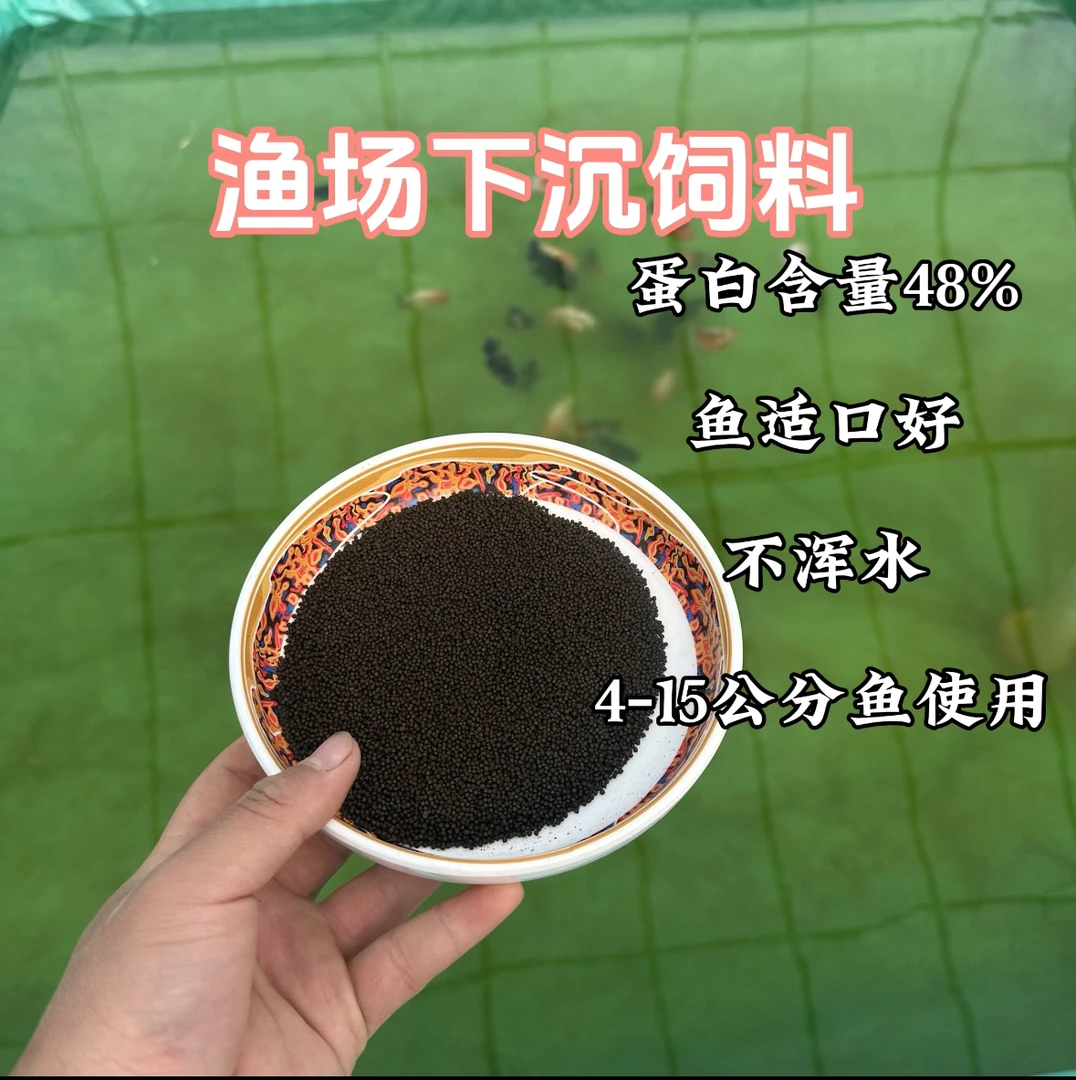 金鱼下沉饲料营养全面不混水