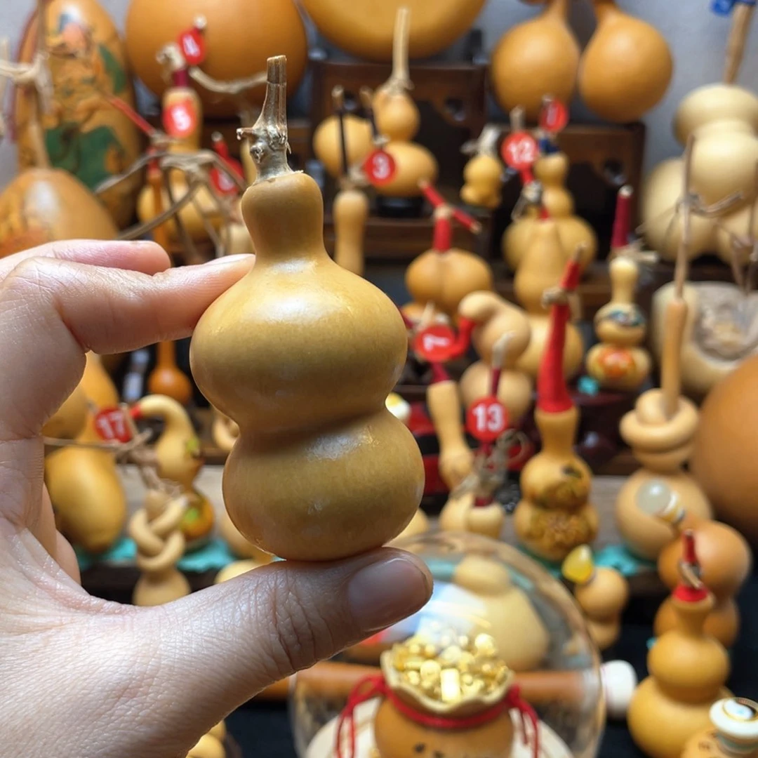 大自然的秘密第十节你是谁第