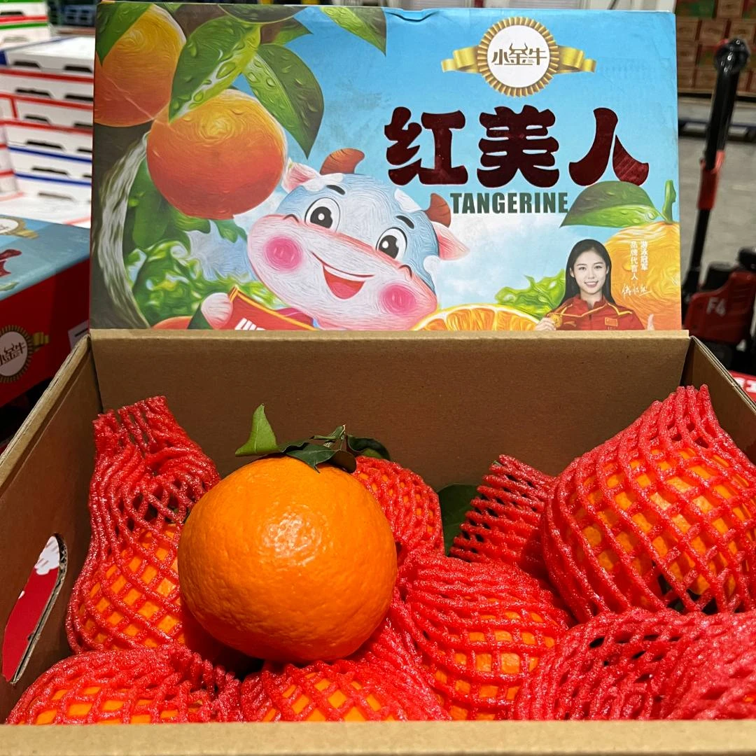 【原箱】【N】【大箱金牛爱媛果冻橙】（带箱10斤左右）仅限太原榆次可拍