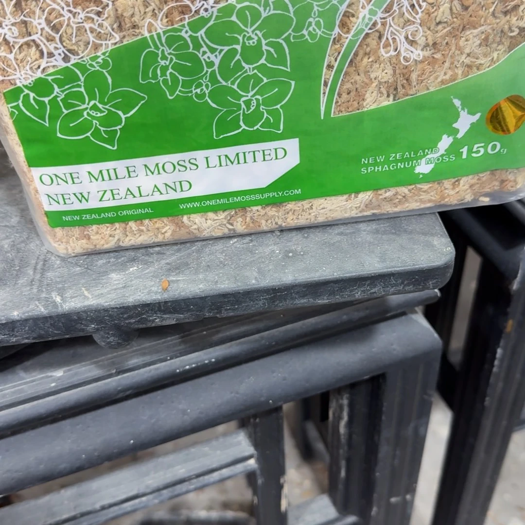 盆景盆景盆景紫园水苔150克