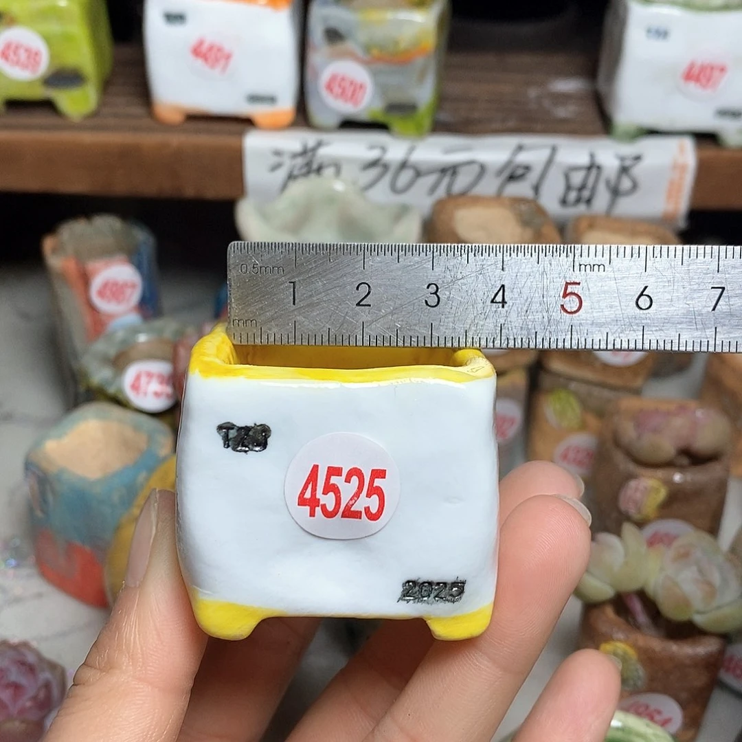 红陶M****✨拍5送一个小