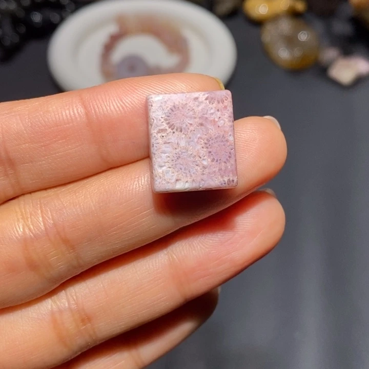 【闪购商品】未镶嵌珊瑚玉硅化玉