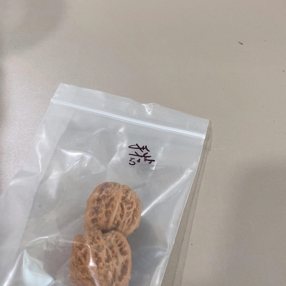 文玩核桃吊坠吊坠手捻