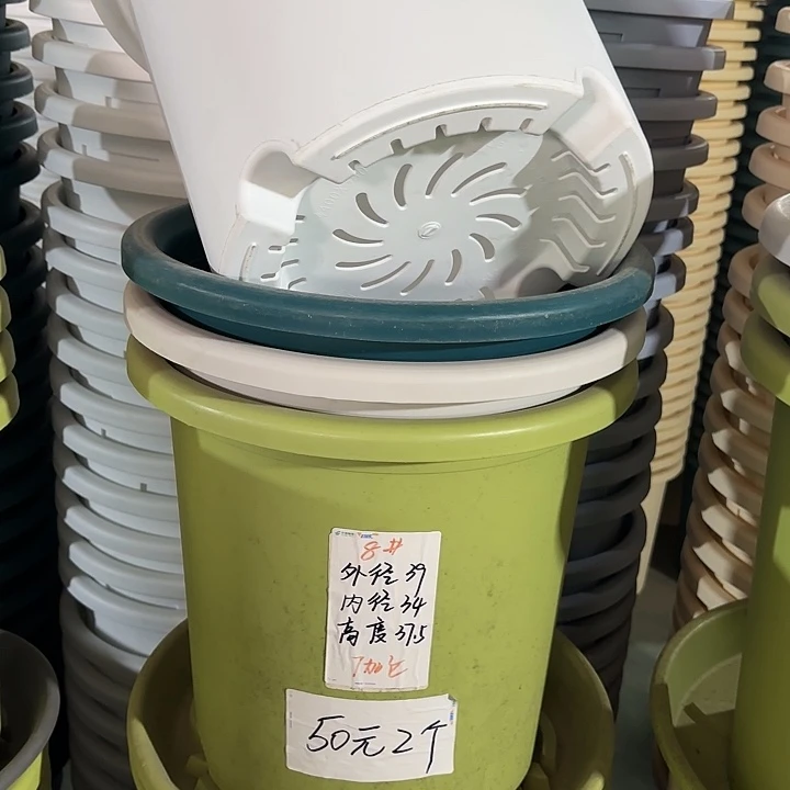 微瑕8#口径39无托果绿5个