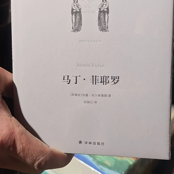 马丁菲耶罗精装塑封库存书