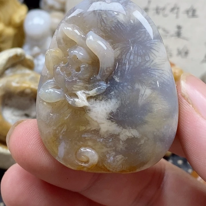 颈饰未镶嵌硅化珊瑚（珊瑚玉）