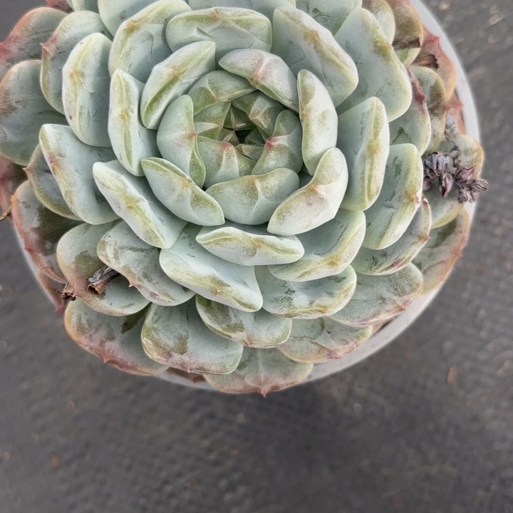 战后248呀呀呀雨啊呀呀呀呀呀呀嗨