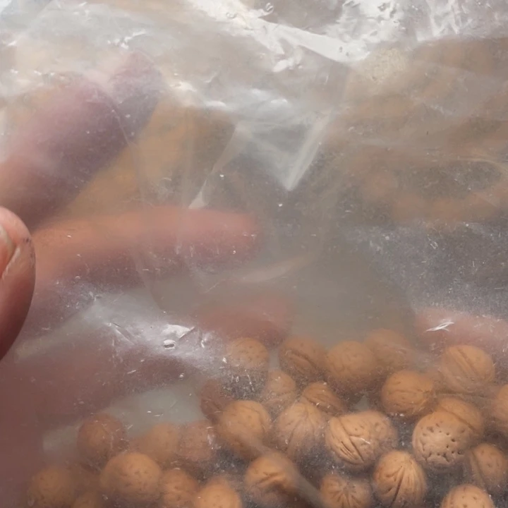 感***人核桃散籽批发小桃核60