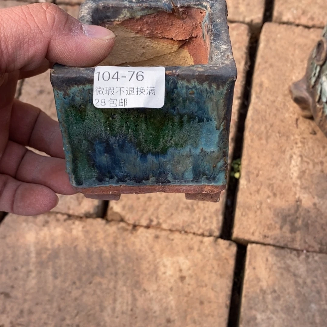 76号花盆福利 易遥专拍