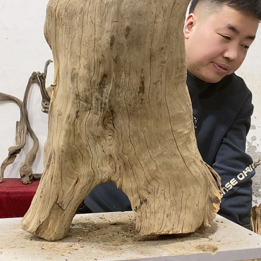 【闪购商品】柏木展****）我们都是好孩子