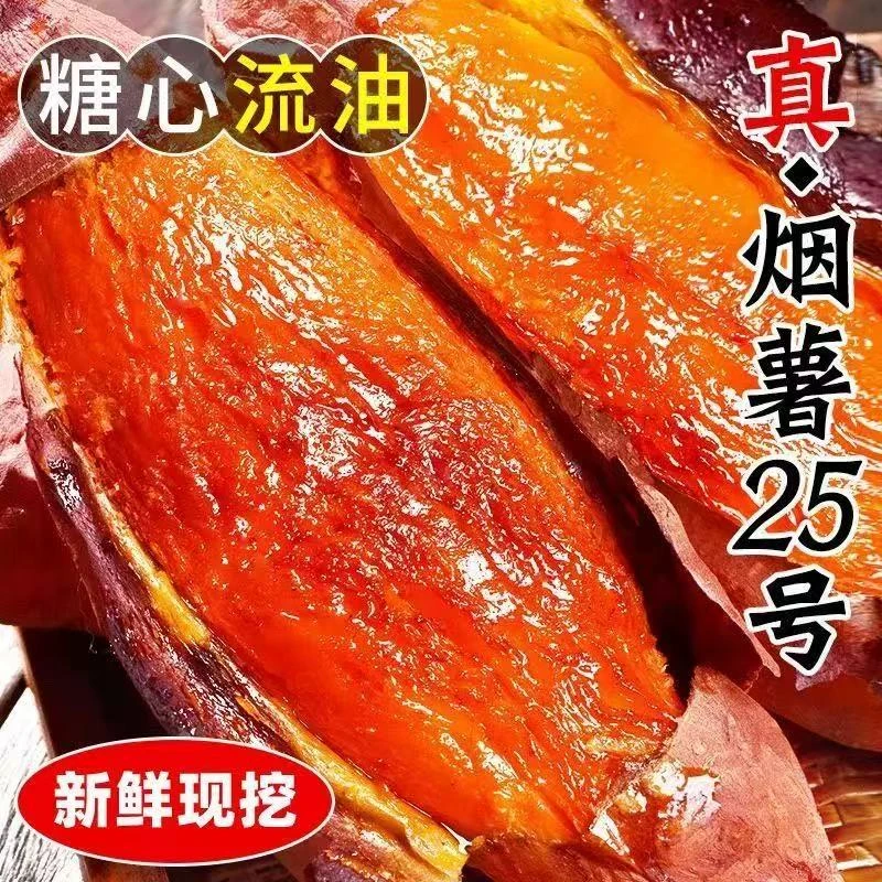 山东烟薯25号新鲜现挖糖心蜜薯香甜软糯可烤可蒸煮