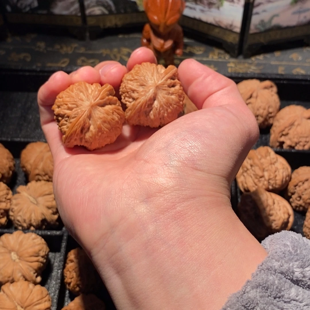 o***烂大叶紫檀（黑酸枝木类）