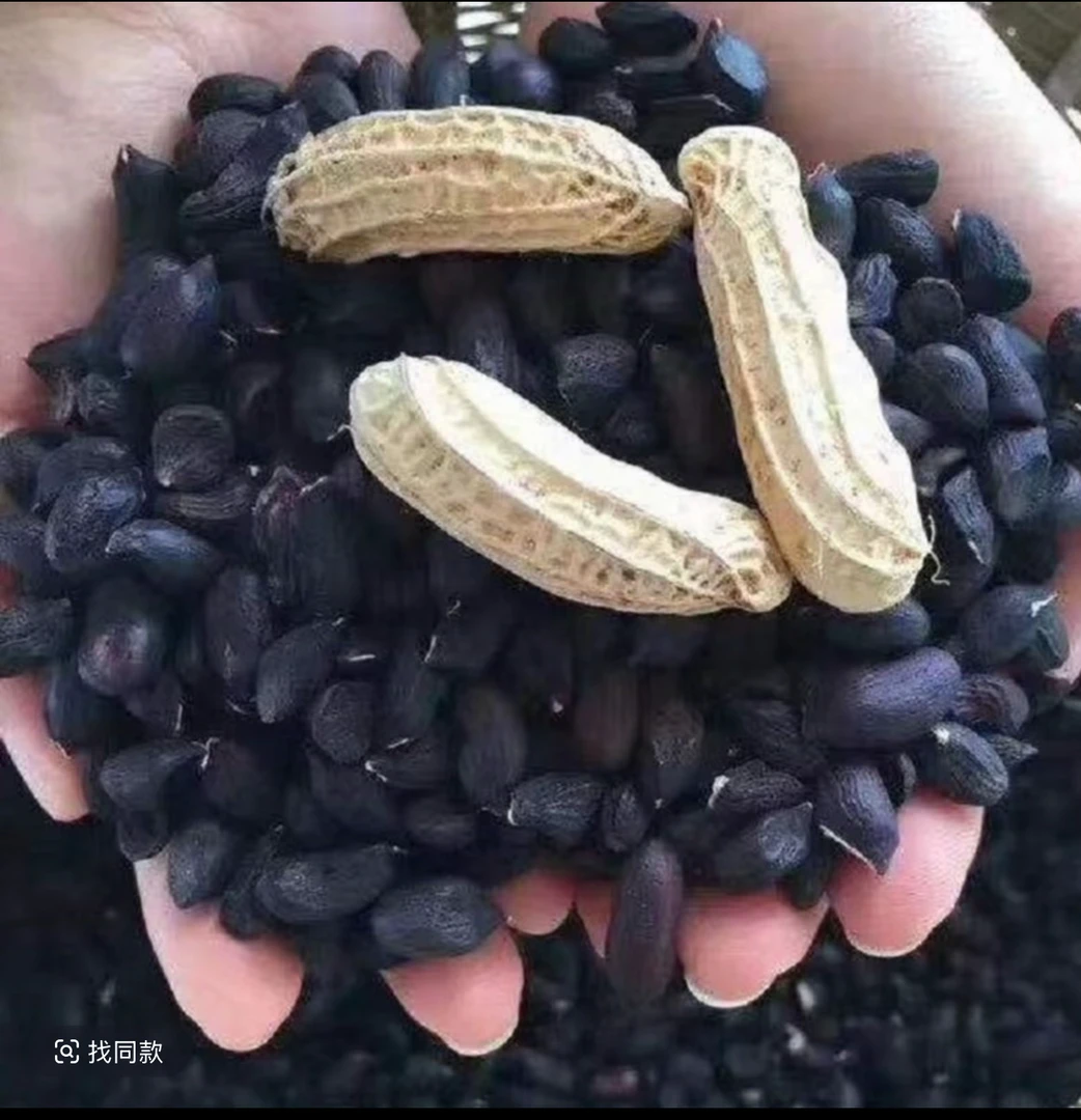（姜姜专属）云南富硒带壳黑花生营养健康养胃零食500克/袋