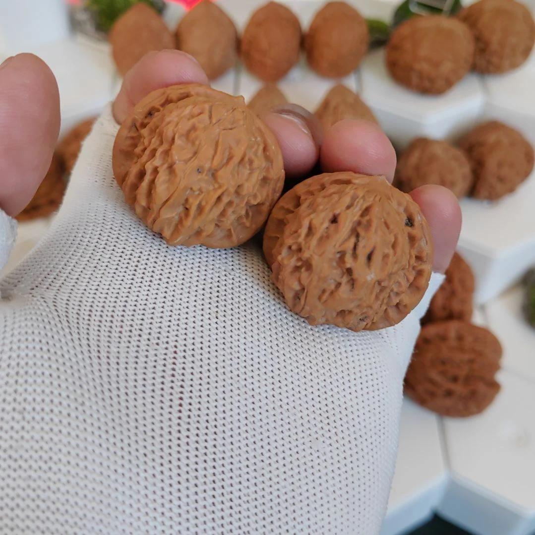 文玩核桃把件2号丨全品黄杆35尺